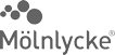 moelnlycke greyscale