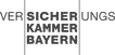 vk bayern greyscale